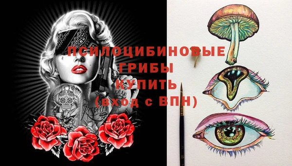 МДПВ Абдулино