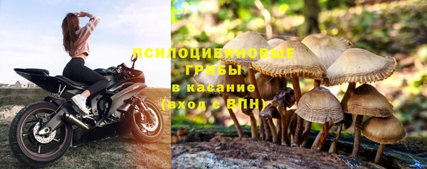 ГАЛЛЮЦИНОГЕННЫЕ ГРИБЫ Абинск