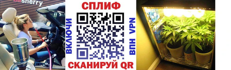 Бошки марихуана семена Сызрань